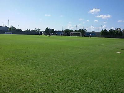 San Lorenzo gole a Almagro